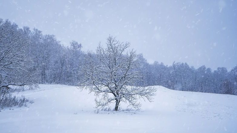 Сейсенбіде еліміздің бес өңірінде тұман, ақтүтек боран болады деп болжанады