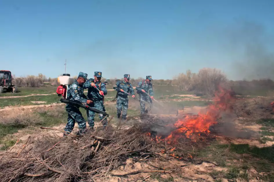 Орман өрттерінің алдын алу: "Казавиаорманқорғау" әуе патрульдерінің рөлі