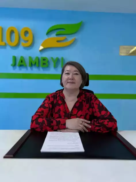 Мемлекеттік секторда жобалық басқару қағидаларын қолдану