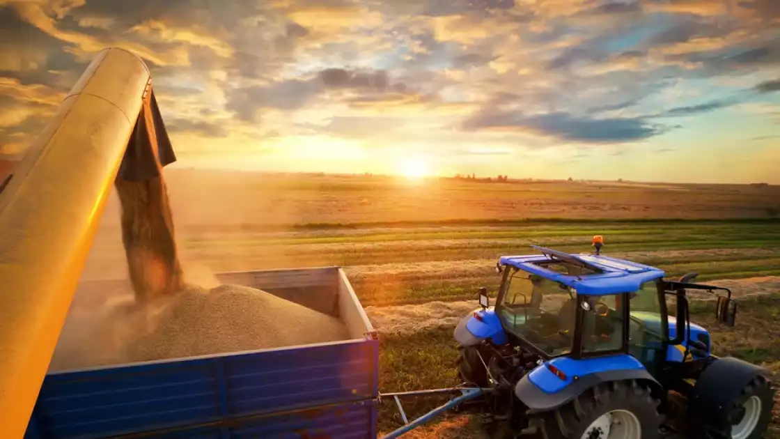 Облыстың 2025 жылғы ауыл шаруашылығы саласындағы жетістіктері мен даму көрсеткіштері