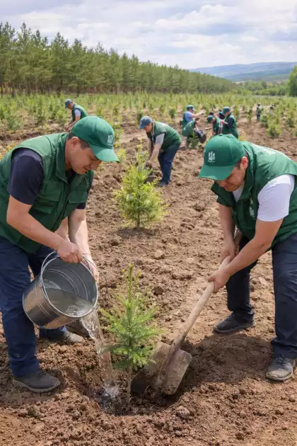 ЖАМБЫЛ ОБЛЫСЫНДА ОРМАН АЛҚАБЫНДА 16 МЛН АСТАМ АҒАШ ОТЫРҒЫЗЫЛДЫ