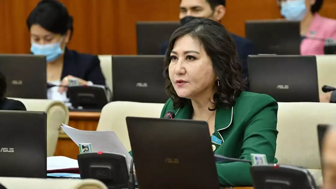 ГҮЛДАРА НҰРЫМОВА ҚОЛӨНЕРШІЛЕРГЕ АРНАЙЫ ЗАҢ ШЫҒАРУДЫ ҰСЫНДЫ